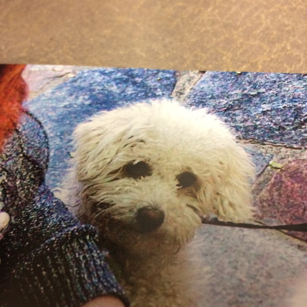 Meet your Posher, Kathleen